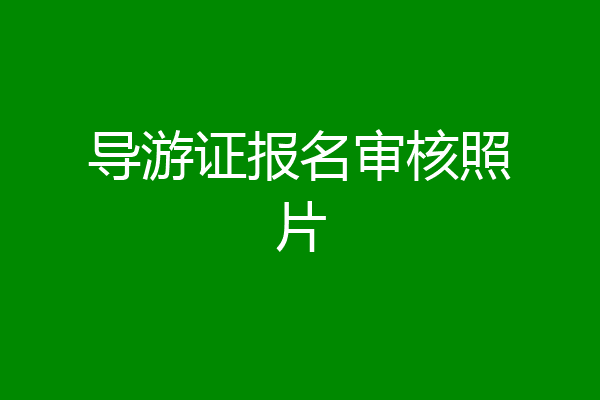 导游证报名审核照片