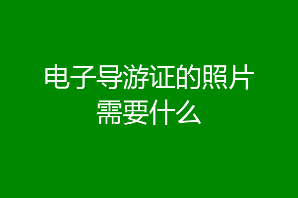 电子导游证的照片需要什么