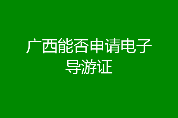 广西能否申请电子导游证