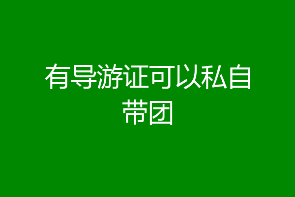有导游证可以私自带团