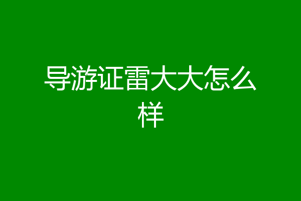 导游证雷大大怎么样