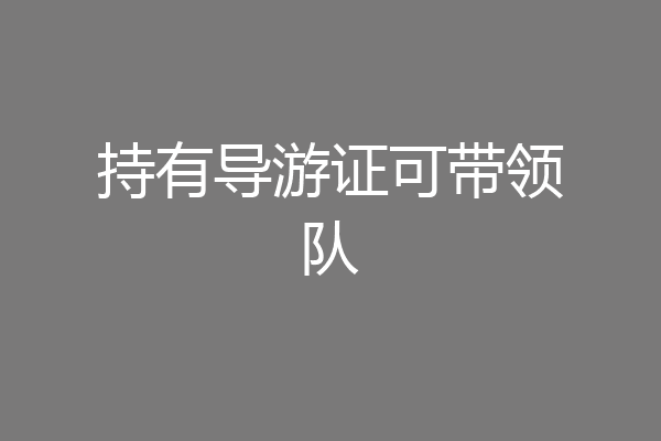 持有导游证可带领队