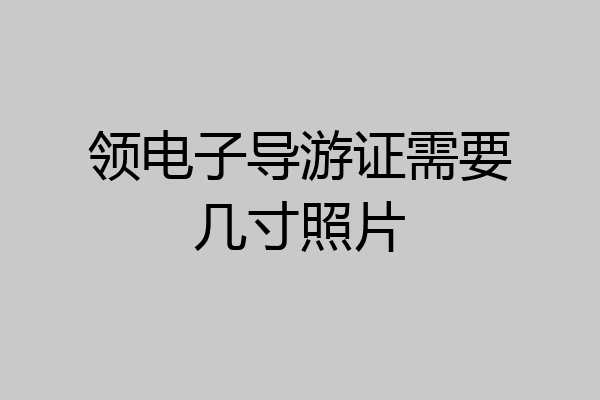 领电子导游证需要几寸照片
