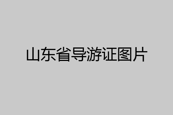 山东省导游证图片