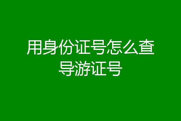 用身份证号怎么查导游证号