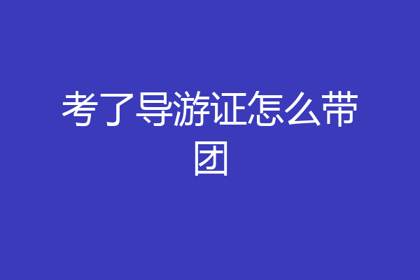 考了导游证怎么带团
