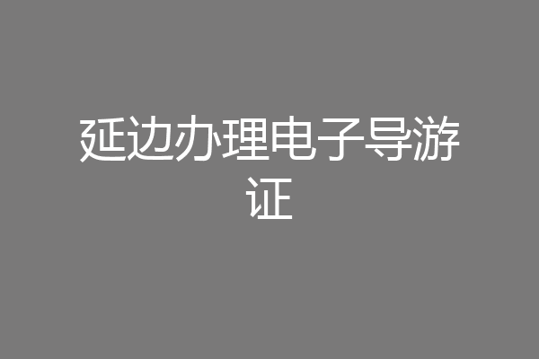 延边办理电子导游证