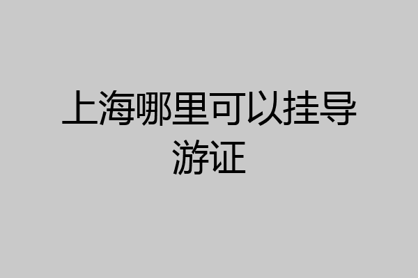 上海哪里可以挂导游证
