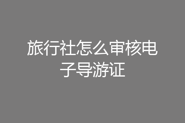 旅行社怎么审核电子导游证