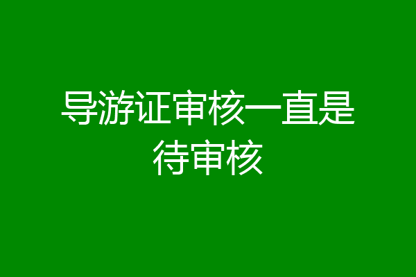 导游证审核一直是待审核