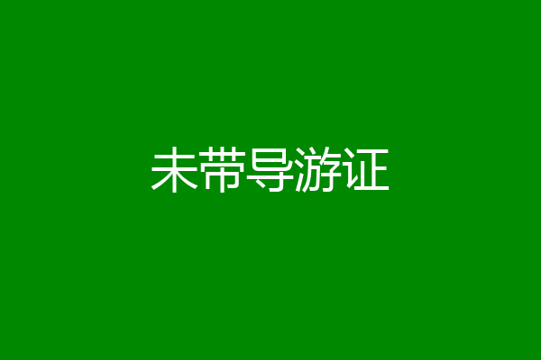 未带导游证