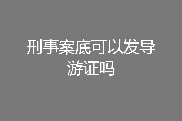 刑事案底可以发导游证吗