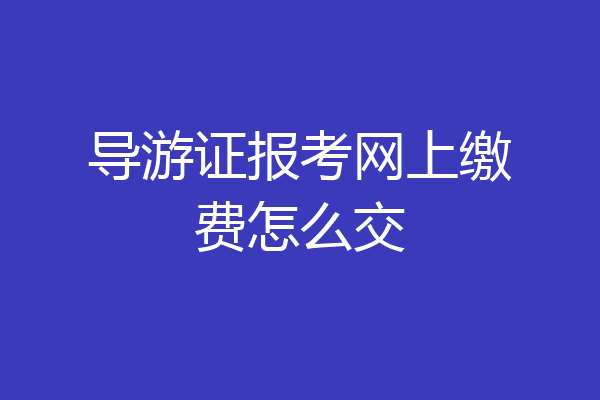 导游证报考网上缴费怎么交