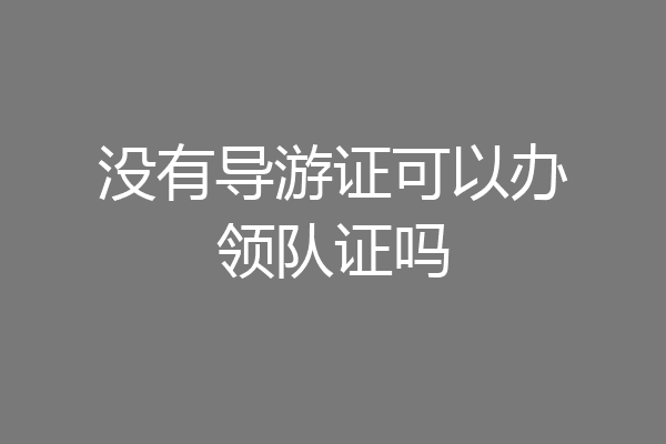 没有导游证可以办领队证吗