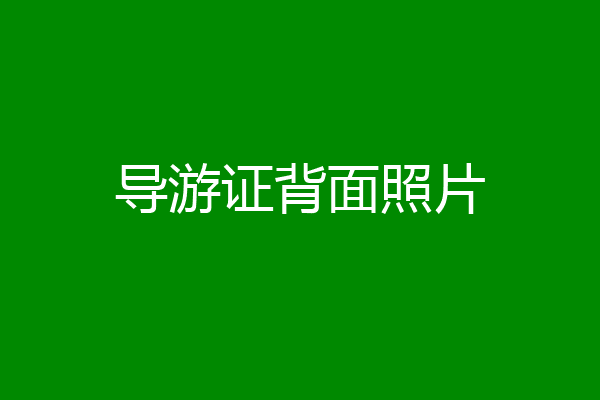 导游证背面照片