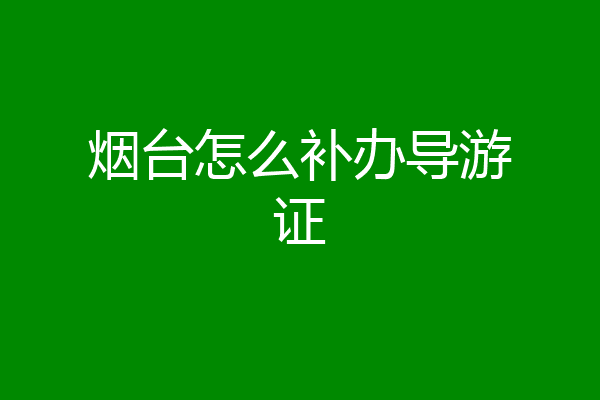 烟台怎么补办导游证