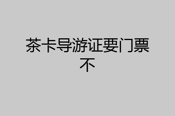 茶卡导游证要门票不