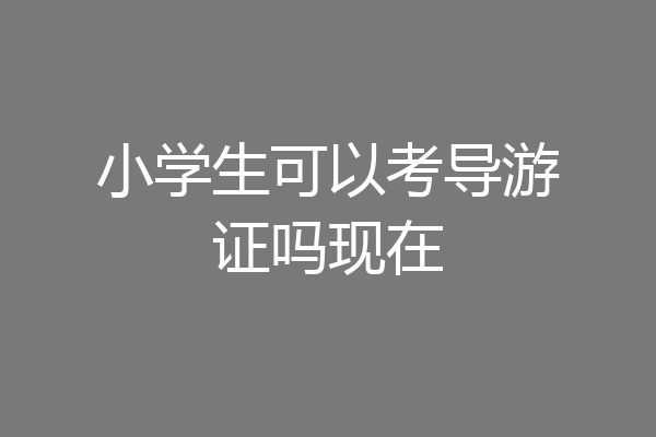 小学生可以考导游证吗现在