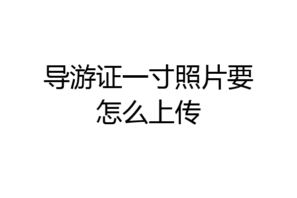 导游证一寸照片要怎么上传