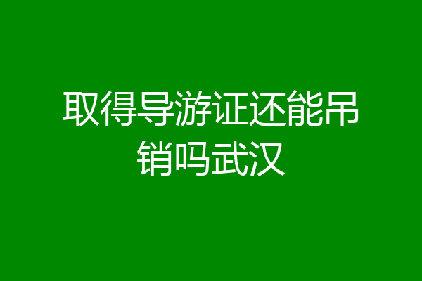 取得导游证还能吊销吗武汉