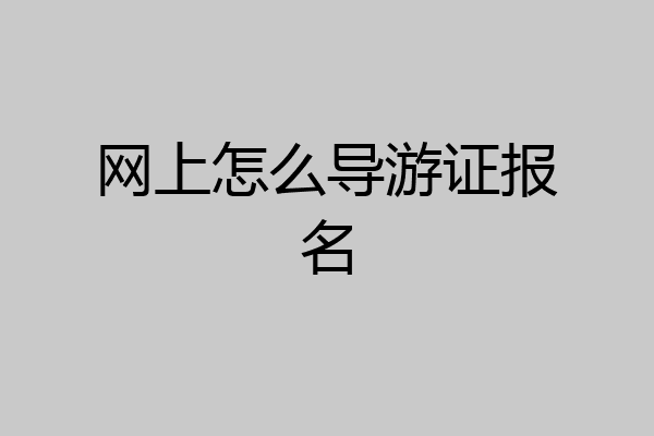 网上怎么导游证报名