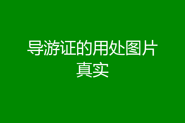导游证的用处图片真实
