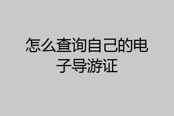 怎么查询自己的电子导游证