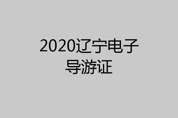 2020辽宁电子导游证