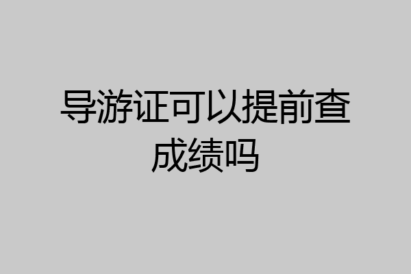 导游证可以提前查成绩吗