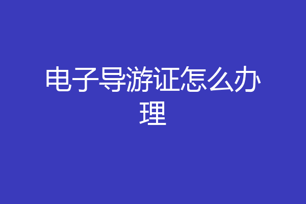 电子导游证怎么办理
