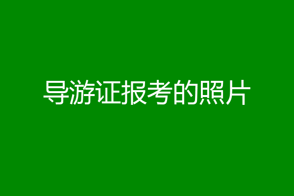 导游证报考的照片