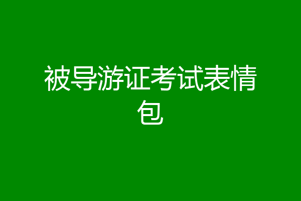 被导游证考试表情包