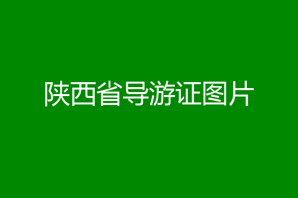 陕西省导游证图片