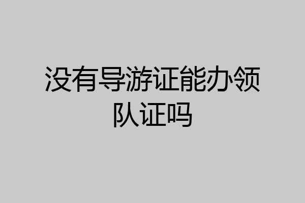 没有导游证能办领队证吗