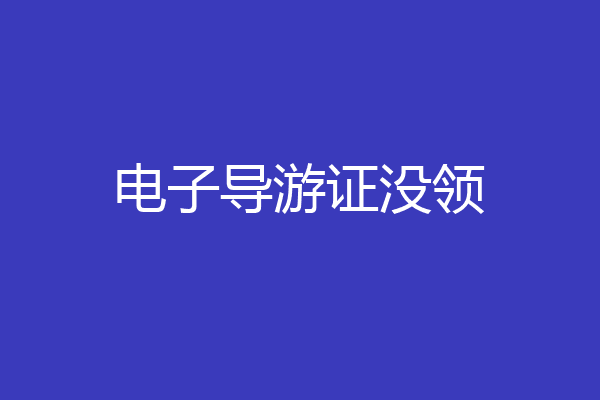 电子导游证没领