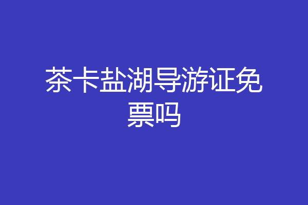 茶卡盐湖导游证免票吗