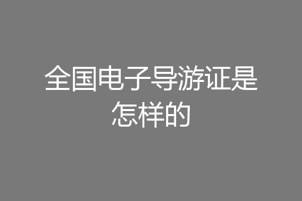 全国电子导游证是怎样的