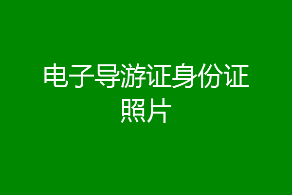 电子导游证身份证照片