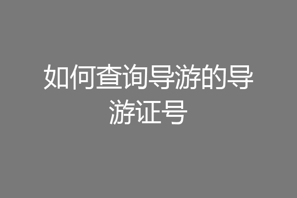 如何查询导游的导游证号