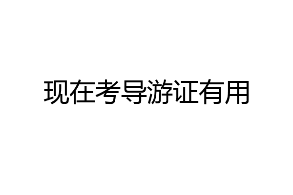 现在考导游证有用