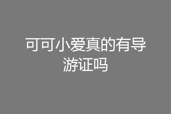 可可小爱真的有导游证吗