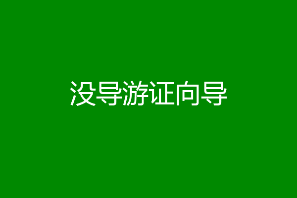 没导游证向导