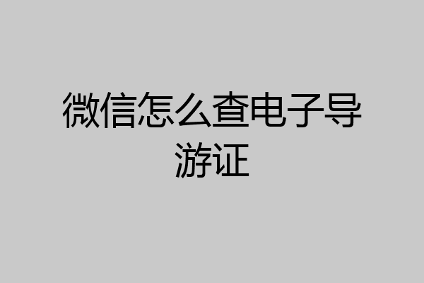 微信怎么查电子导游证