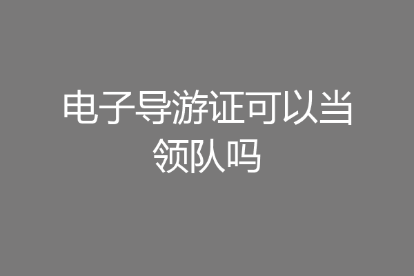 电子导游证可以当领队吗