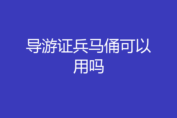导游证兵马俑可以用吗