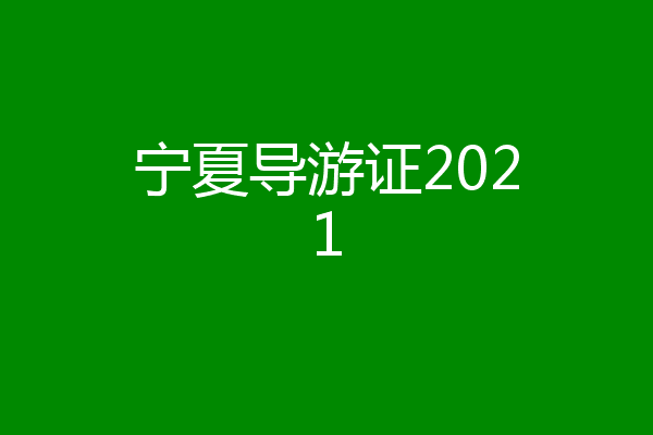 宁夏导游证2021