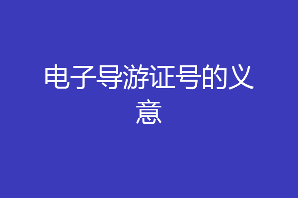 电子导游证号的义意