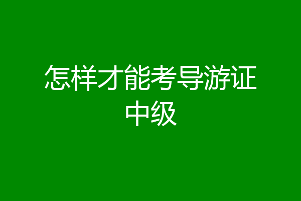 怎样才能考导游证中级