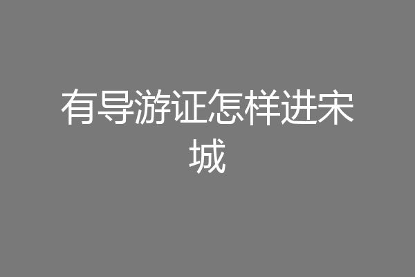 有导游证怎样进宋城