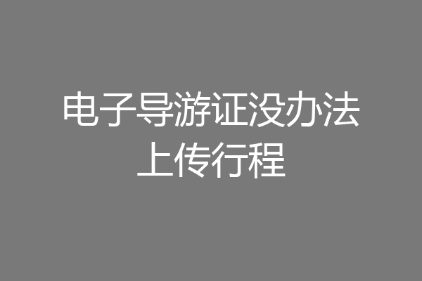 电子导游证没办法上传行程